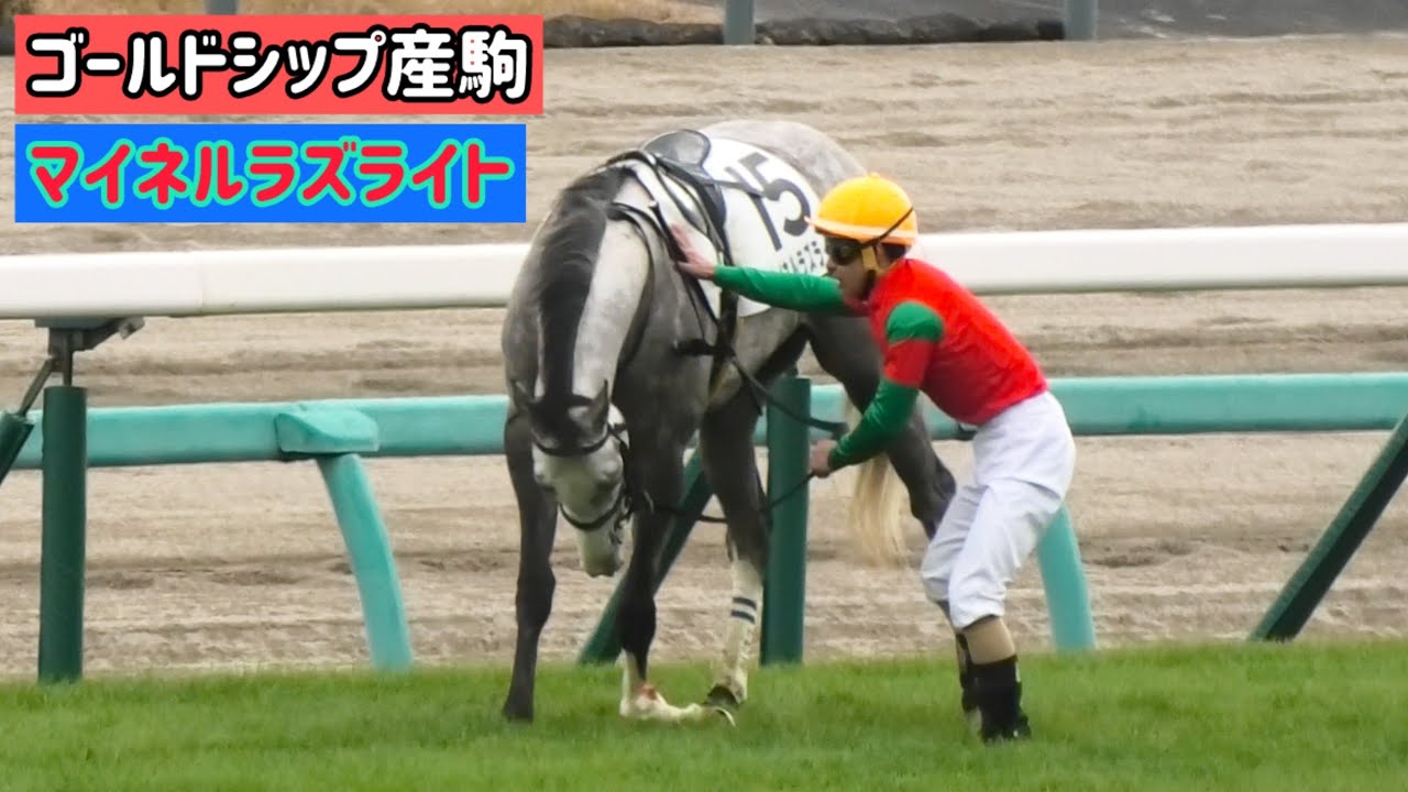 【追悼】大きな故障を発症しても最後まで倒れず木幡巧也騎手を守ったマイネルラズライト【ゴールドシップ産駒】
