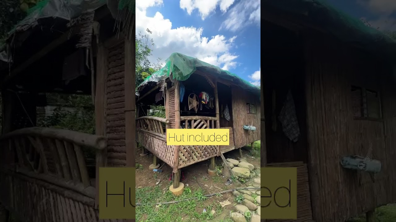 2 hectares lot at gallano, aringay la union