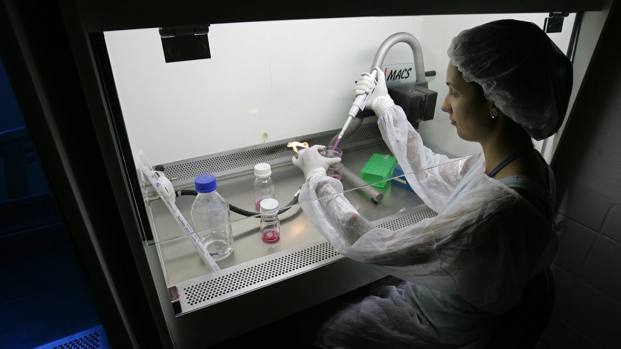 La fertilización in vitro, una práctica que enfrenta a la Iglesia y la ciencia