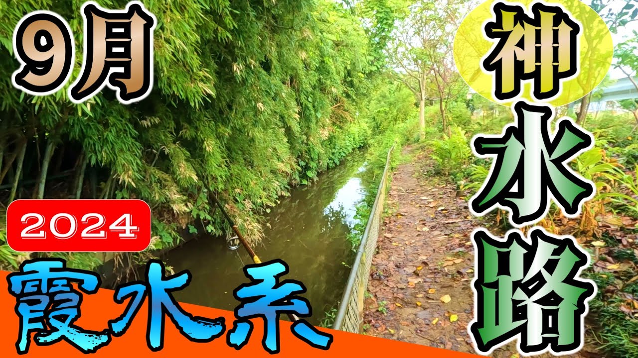 【バス釣り】【霞ヶ浦】9月中旬_秋の爆釣水路
