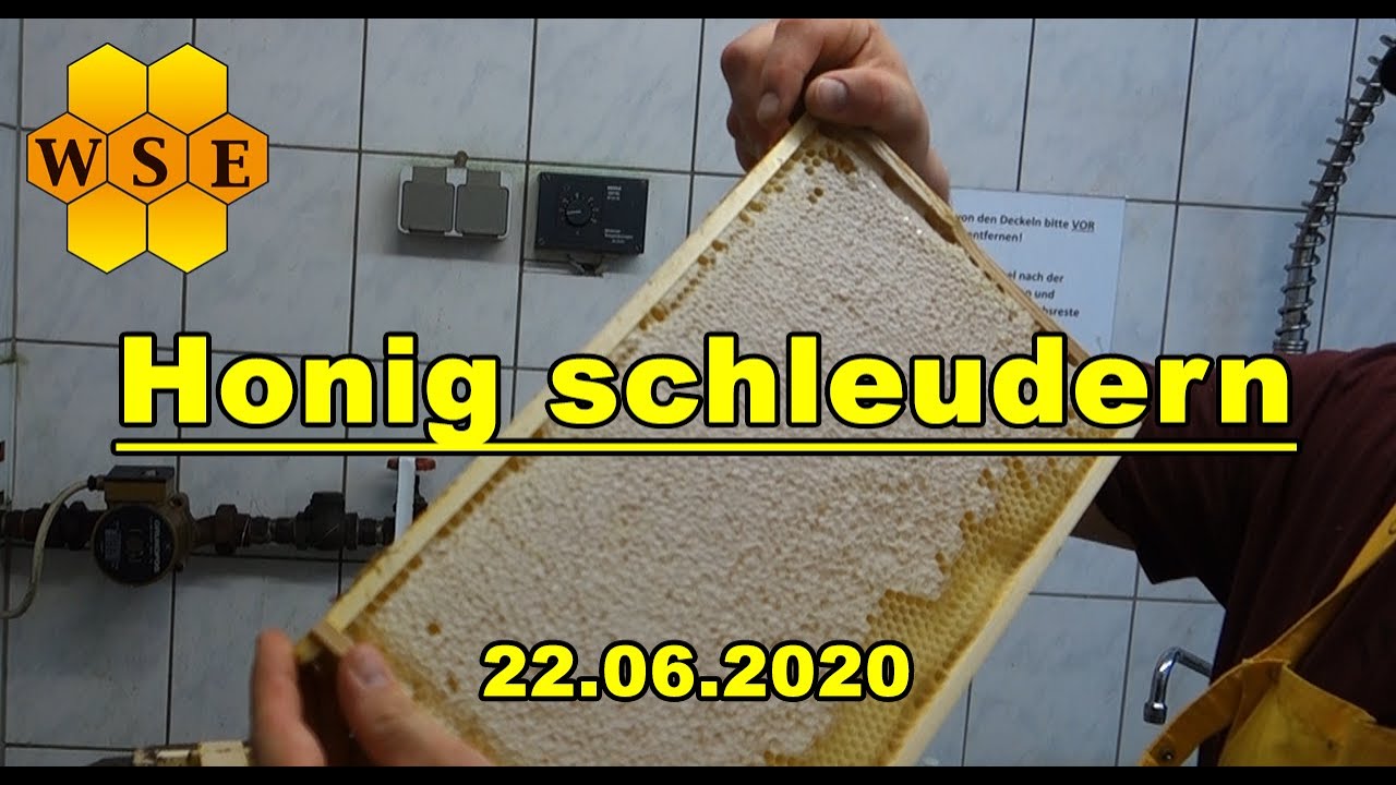 Honig schleudern