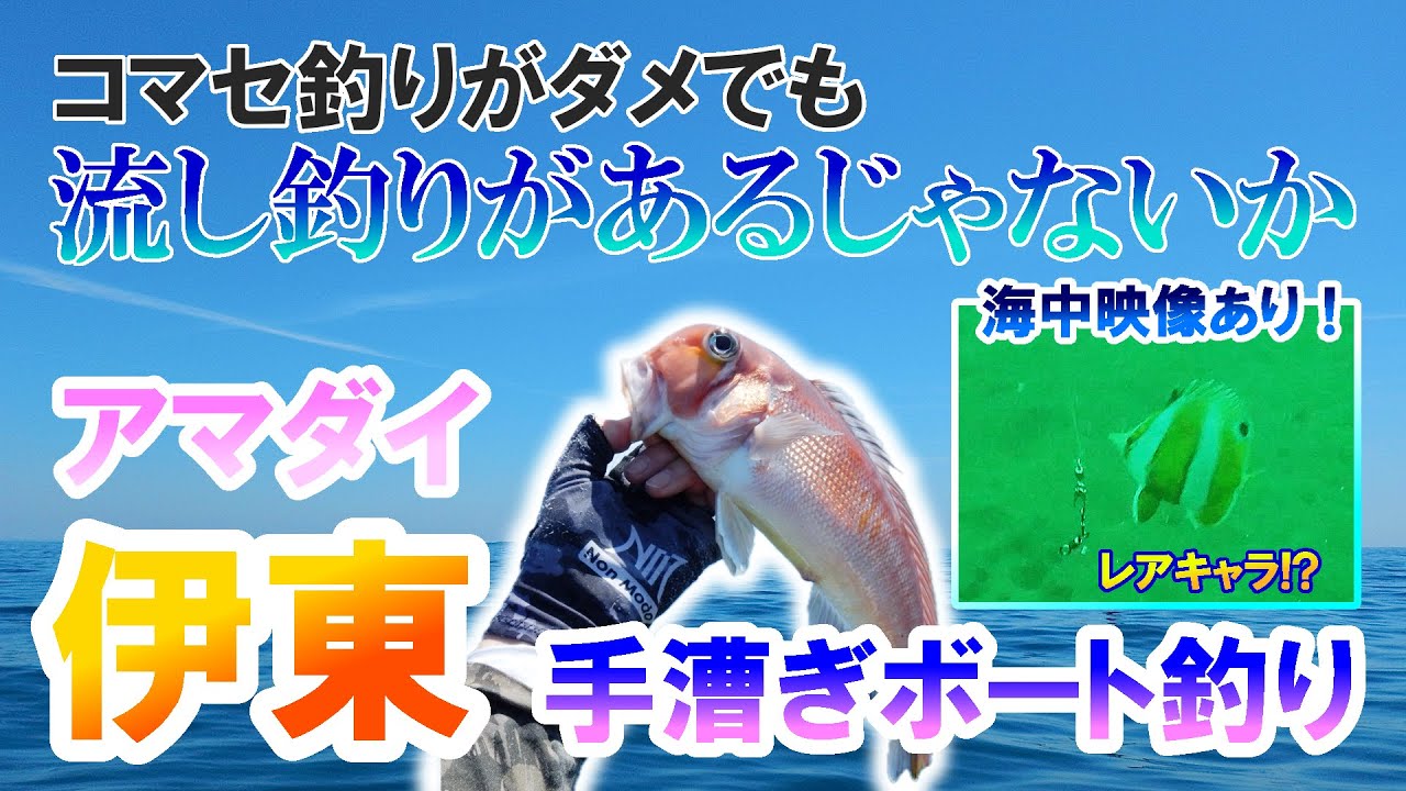 【#7】伊東の未経験ポイント巡り＆流し釣りでのアマダイ狙い。海中映像あり＠伊東・井上丸【手漕ぎボート釣り】