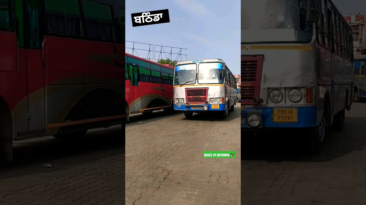 bathinda bus stand 🥀🥀 amazing bus shorts 🥀🥀 buses of Bathinda 🥀🥀 #trending #bus #vlog #punjab #vip