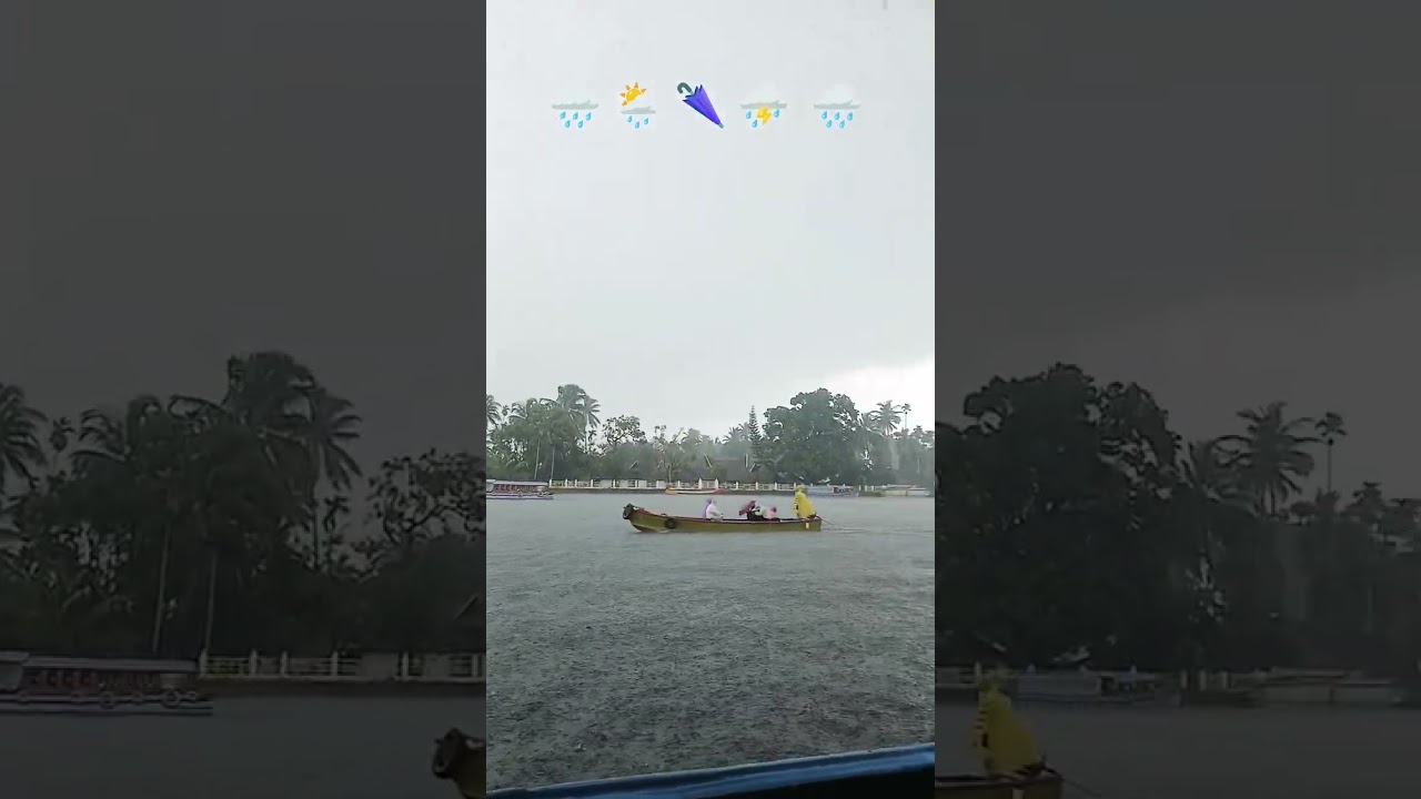 🌧 🌦 Heavy 🌂  Rain 🌧 🌦 Alappuzha #kerala rain #kerala flood #rain #flood