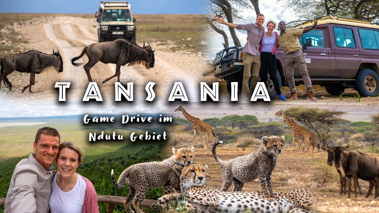 TANSANIA - Vom Tarangire Nationalpark ins Ndutu Gebiet! Vlog 4