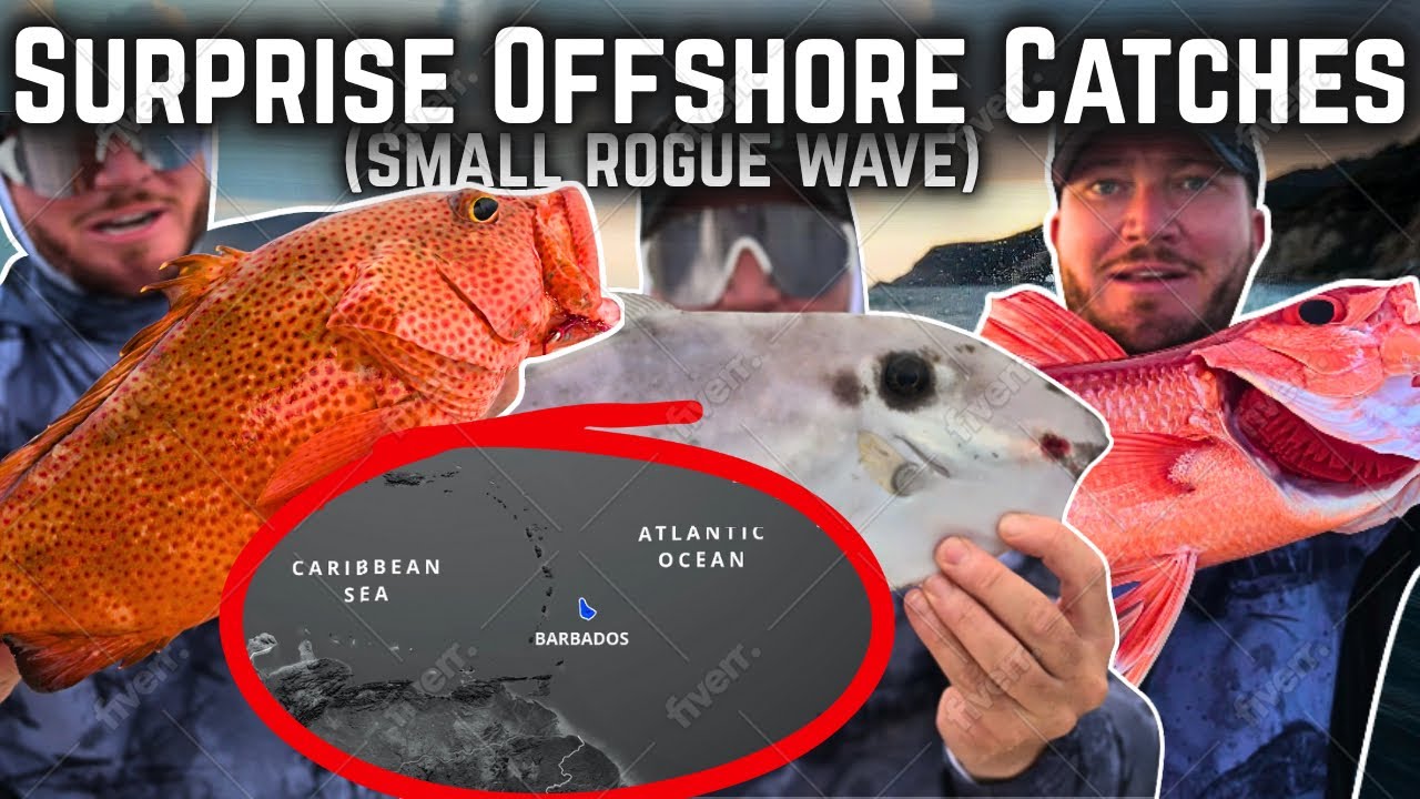Barbados Offshore Bottom Fish (Catch, Clean, Cook)
