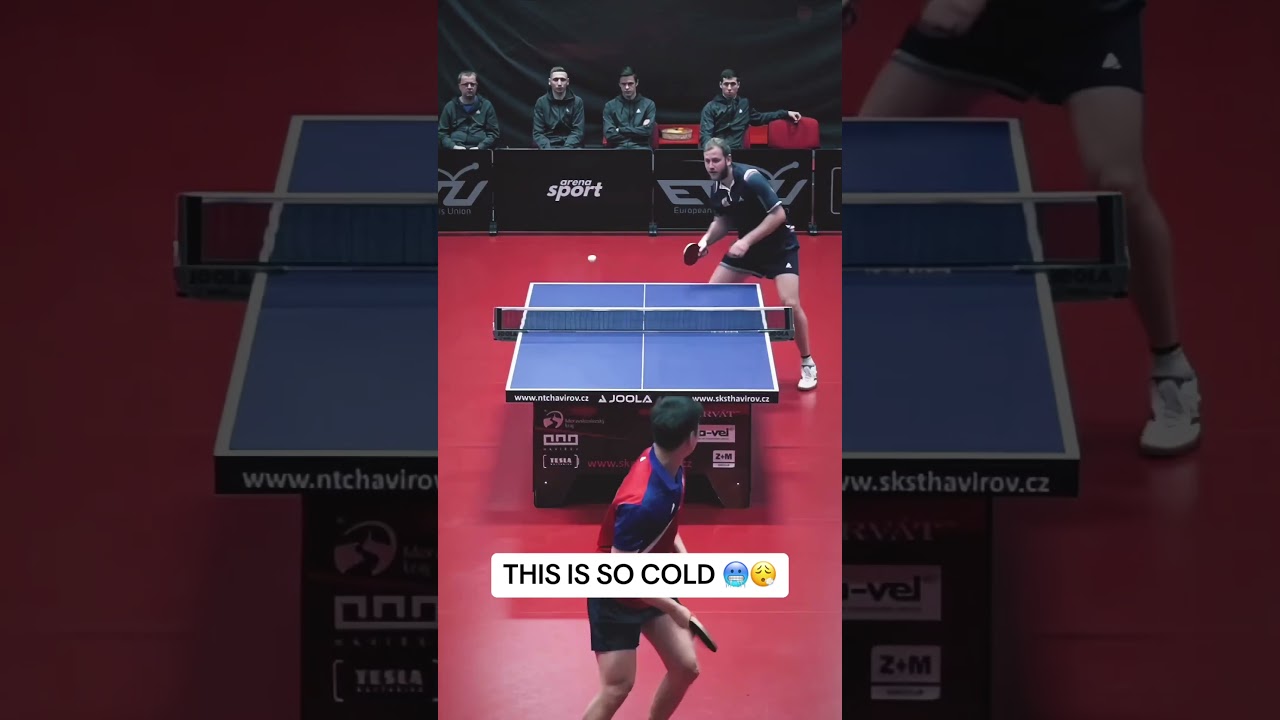 Table Tennis legends crazy points 🏓🏆 #pingpongtable #tabletennis #pingpong