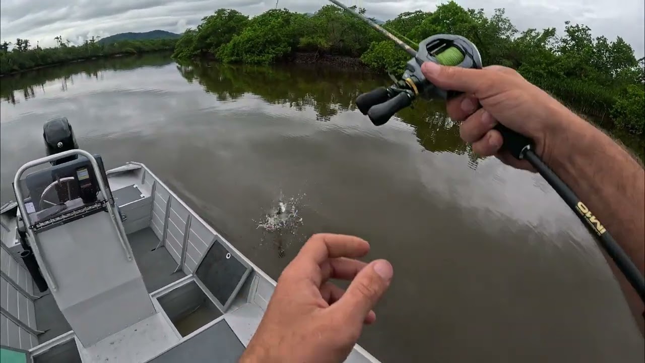 Aprenda usar o GARMIN Striker 4cv e achar MUITO mais peixe!! é quase ou LIVE ?