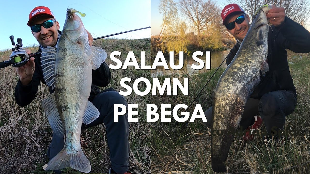 SALAI si SOMNI pe BEGA! 🔥 PESCUIT la JIG pe RAU cu DRILURI pe CINSTE 💥