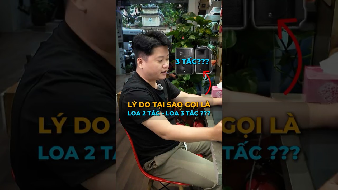 Loa 2 tấc, Loa 3 tấc là gì? Tại sao lại gọi như vậy!