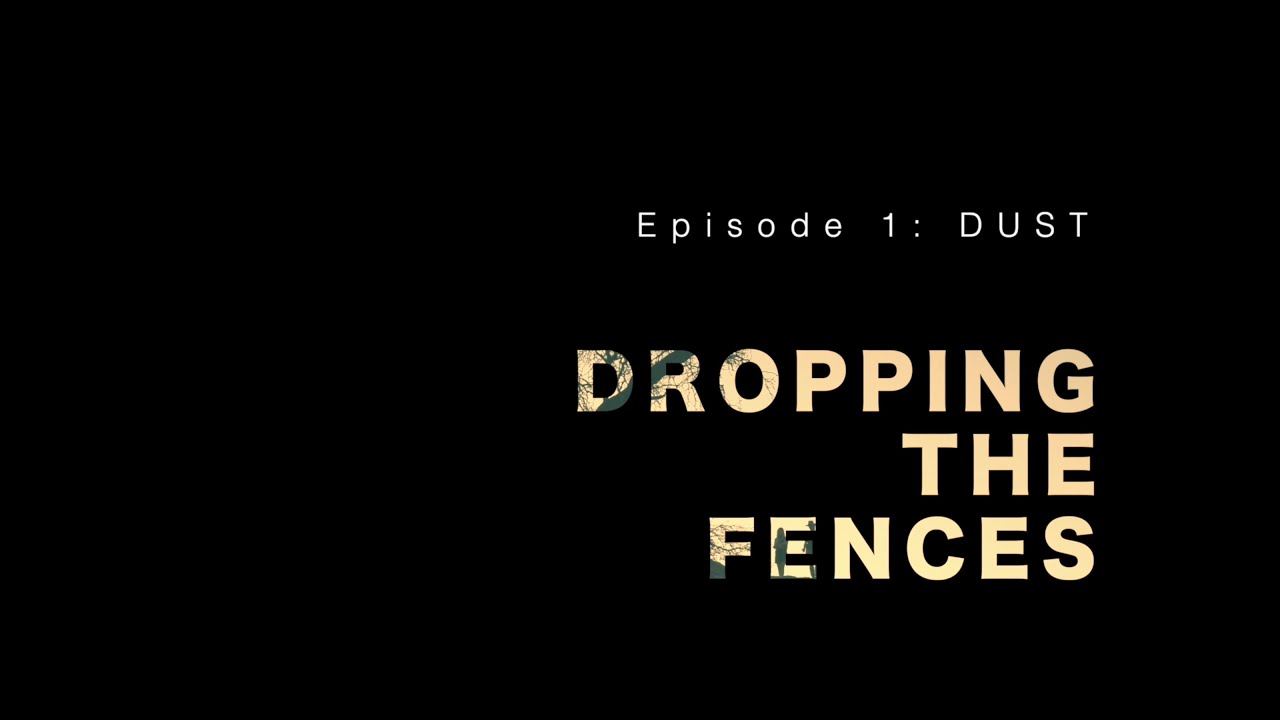 Dropping the Fences (episode 1) - DUST