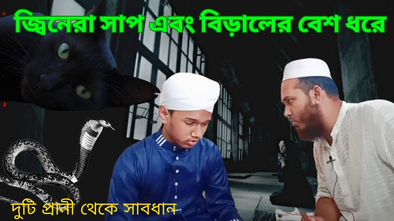 জ্বিনেরা সাপ এবং বিড়ালের বেশ ধরে বেশি || এ দুটি প্রানী থেকে সাবধান || মুফতি আবু বকর সিদ্দিক!