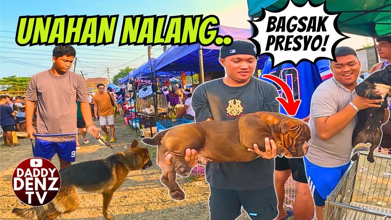 DUMAYO PA, DALA MGA SOLID BULLIES.. / APRIL 11 BOCAUE PT2