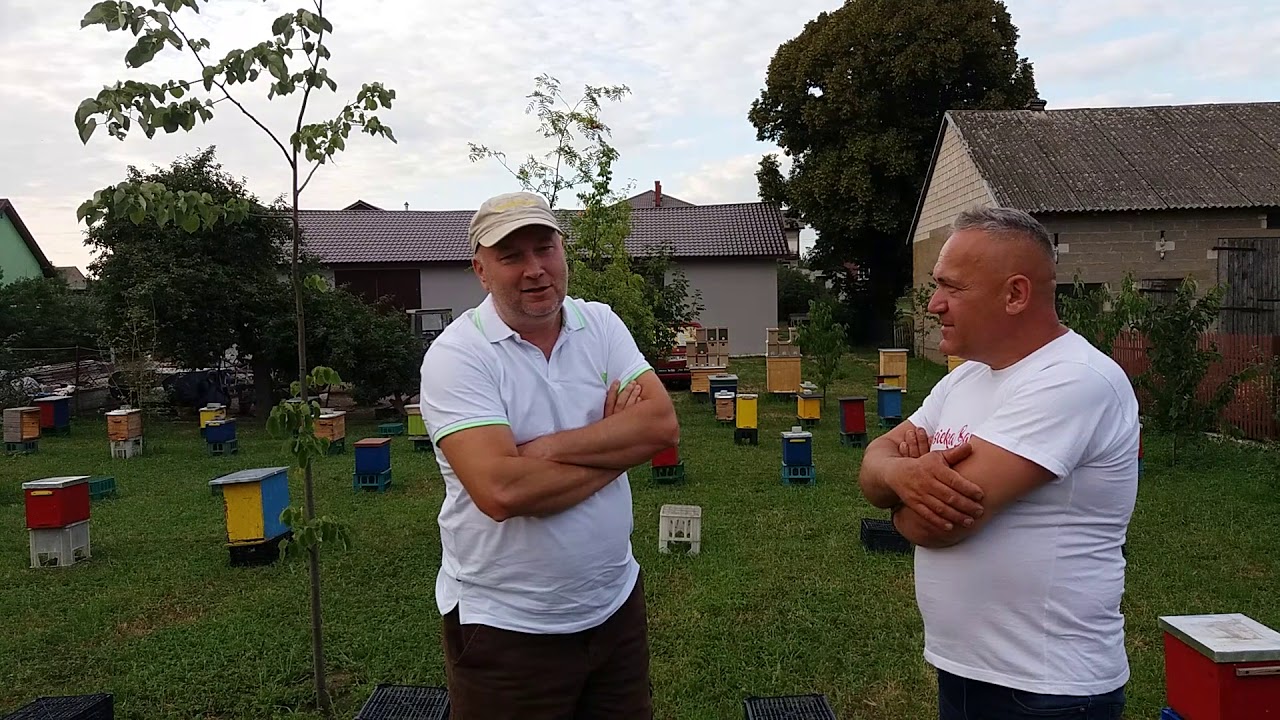 Michał Lewandowski w pasiece Barć Mława