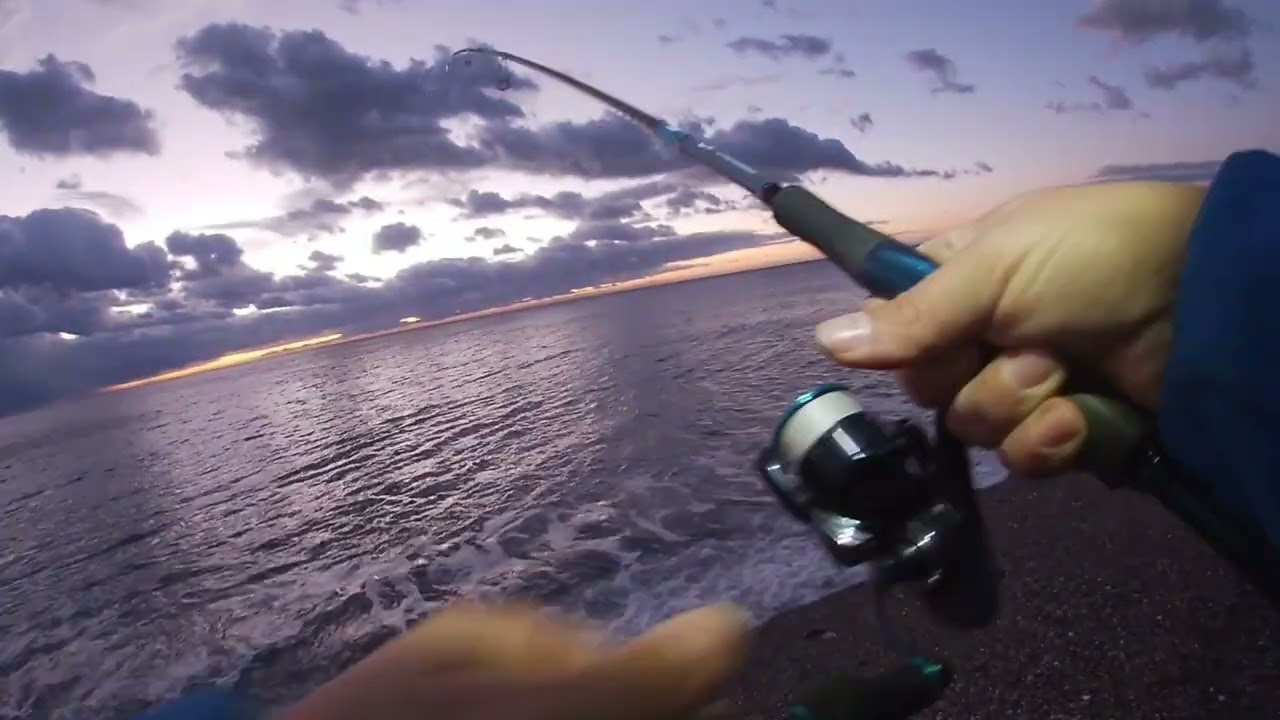 Tonnetto alletterato a light jigging
