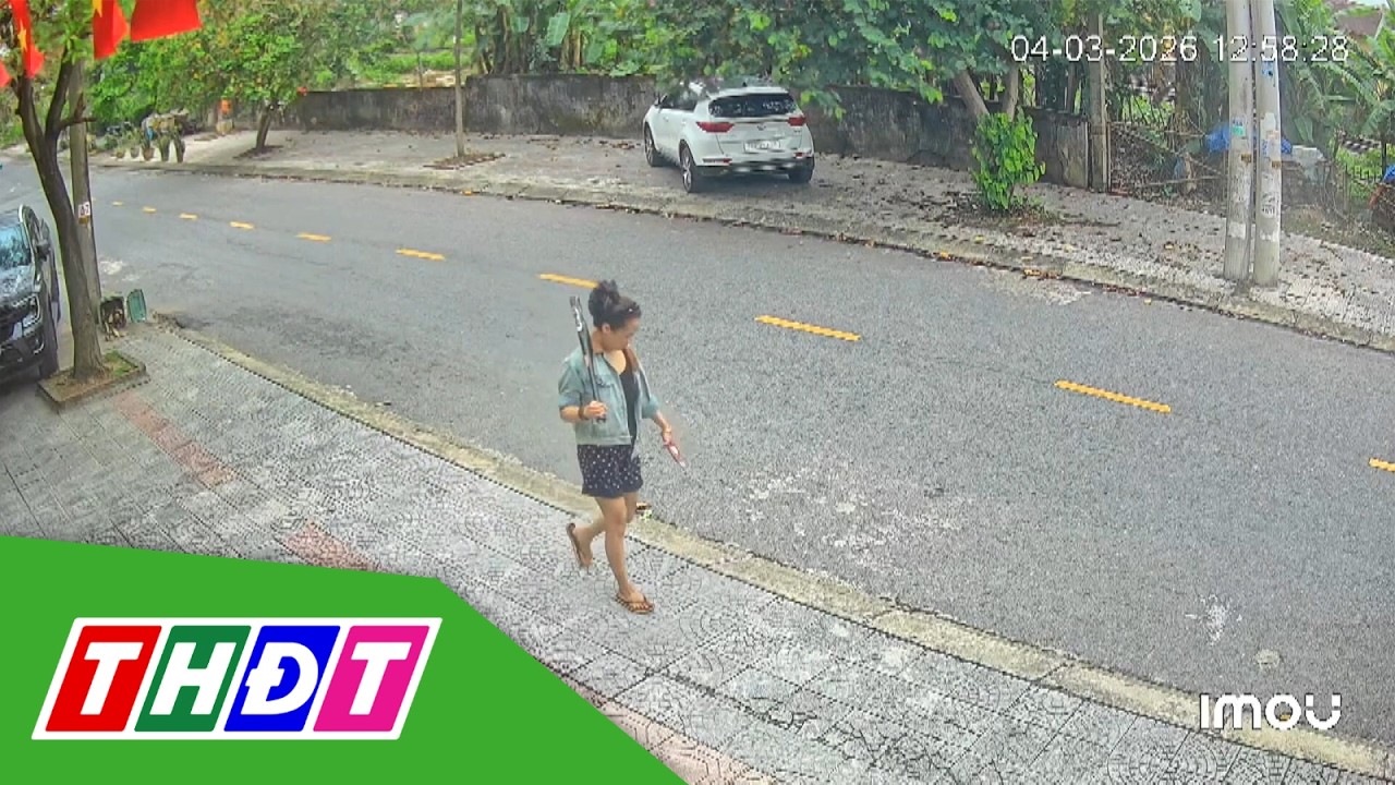 Người phụ nữ cầm rựa, gậy đập phá hàng loạt ô tô đậu ven đường | THDT