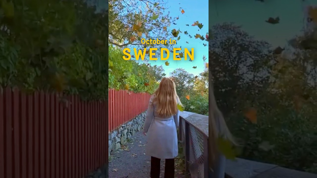 October in Sweden: Culture, Lights & Cinnamon Buns!