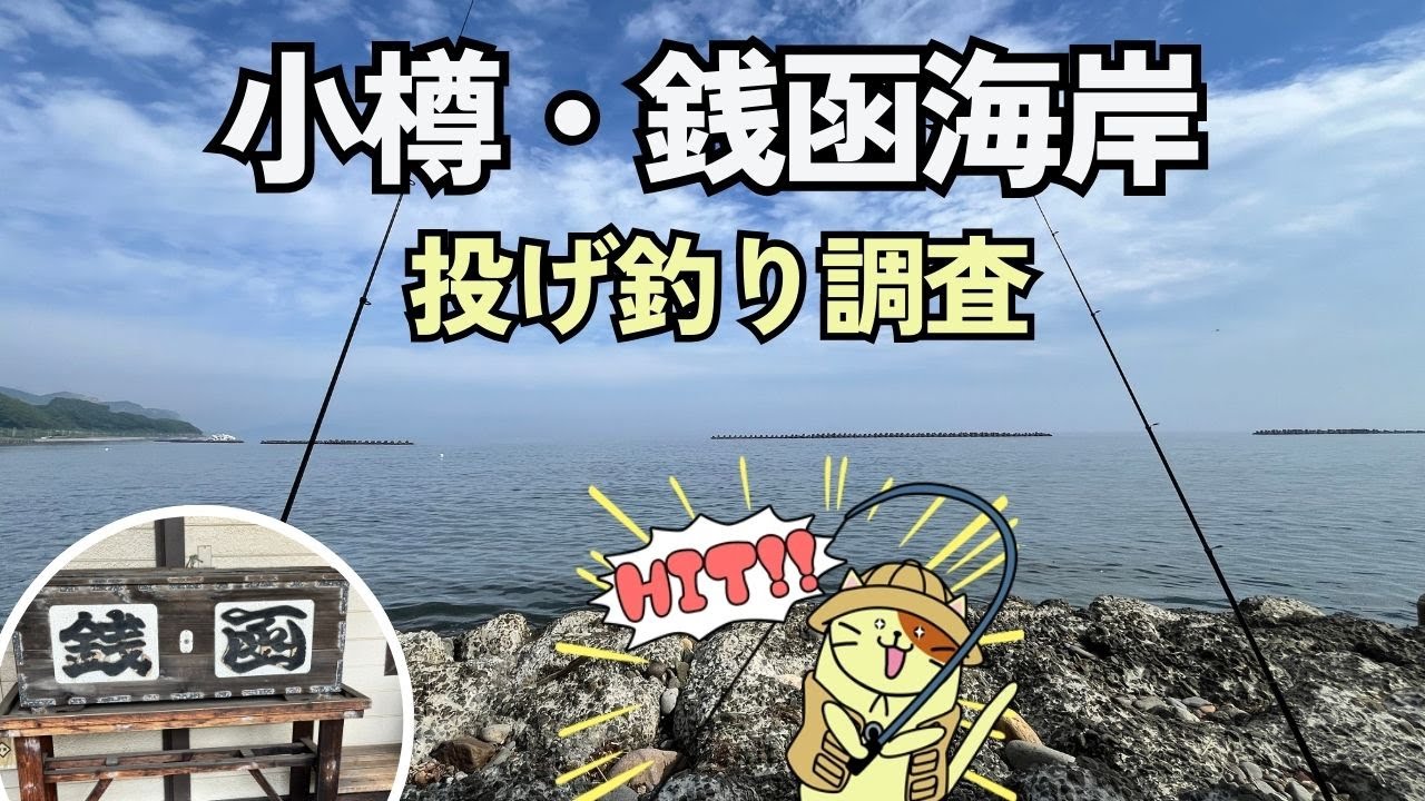 小樽「銭函海岸」投げ釣り調査｜北の大地で釣れたのはあの魚