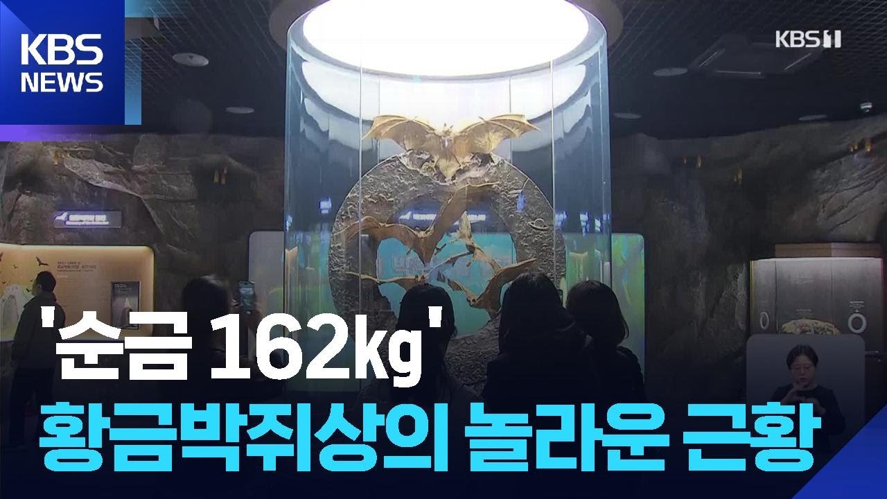 '순금 162㎏' 황금박쥐상의 놀라운 근황 / KBS  2025.10.30.