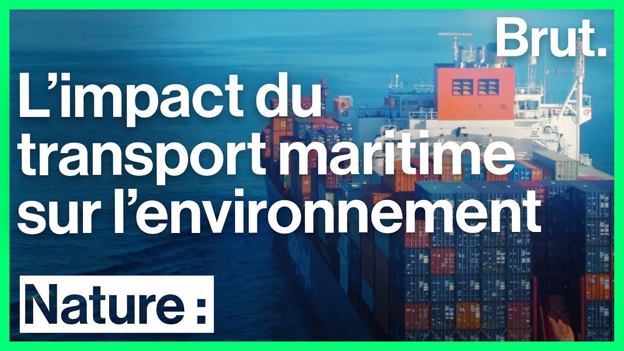 Voici l'impact du transport maritime sur l'environnement
