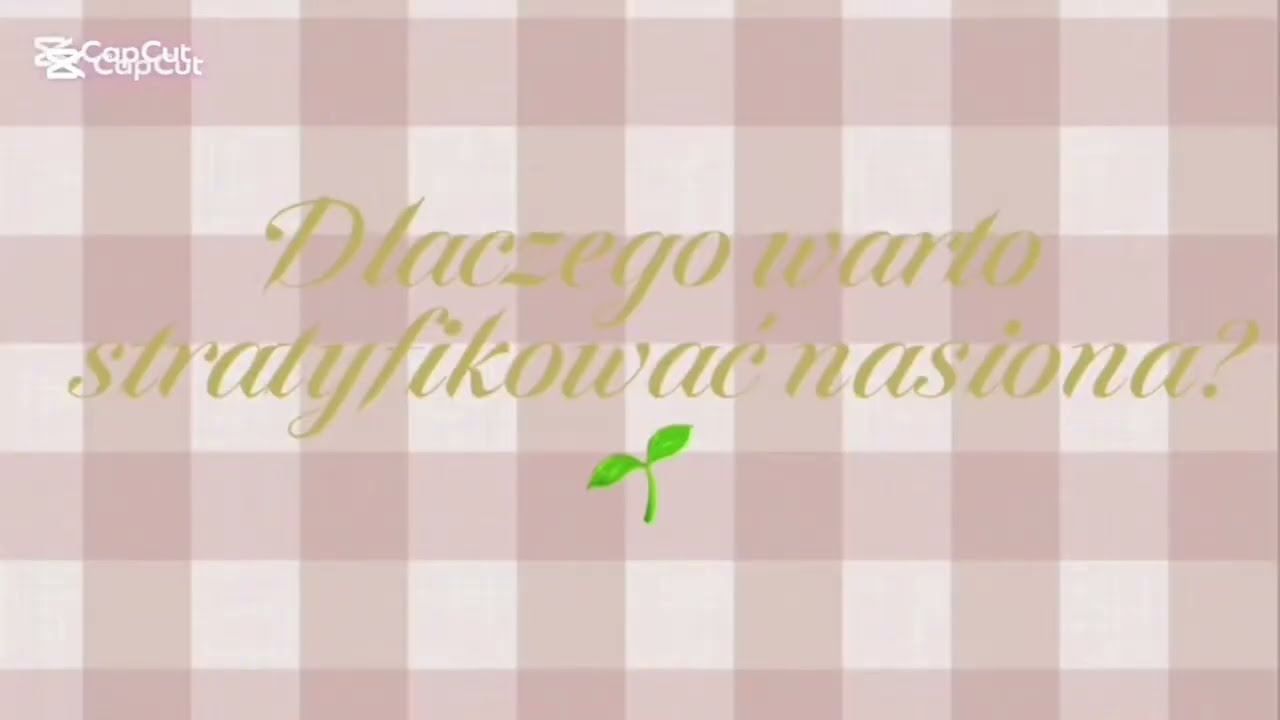 Sekret ogrodników, zimowy trik na lepsze kiełkowanie 🤍|| Stratyfikacja nasion poziomki 🌿