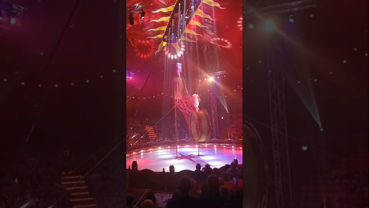fearless performance #circus #shorts #entertainment #shortfeeds