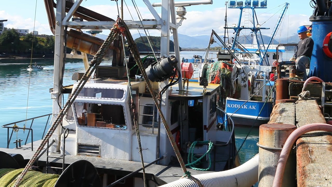A Climate of Change: Ocean Acidification in Alaska
