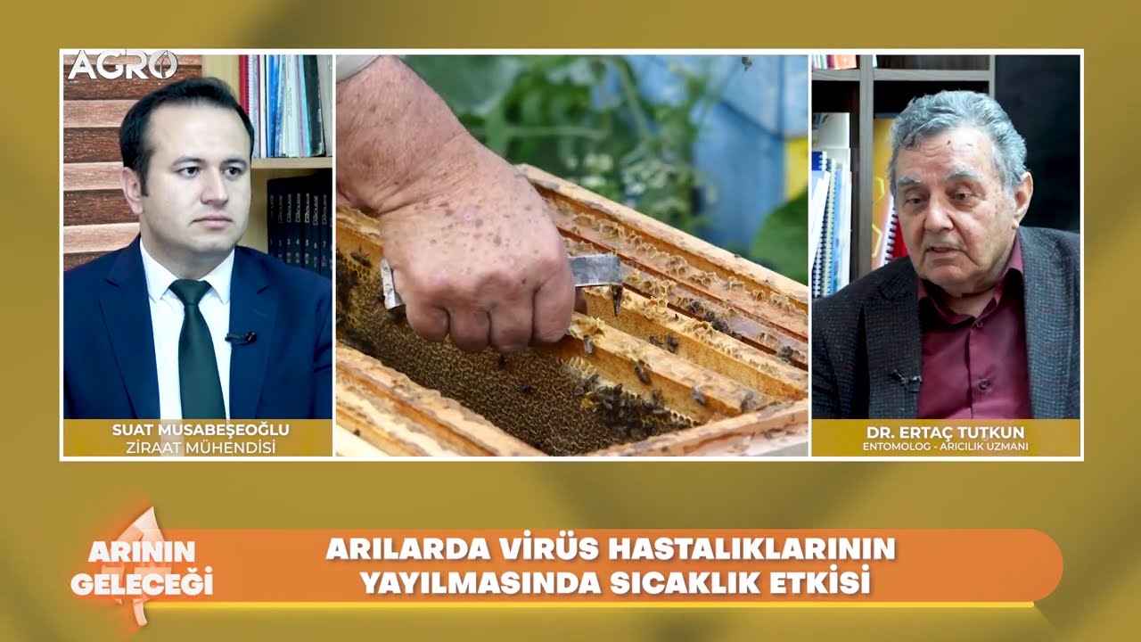 Arı Sağlığını Koruma Yolları / Arının Geleceği