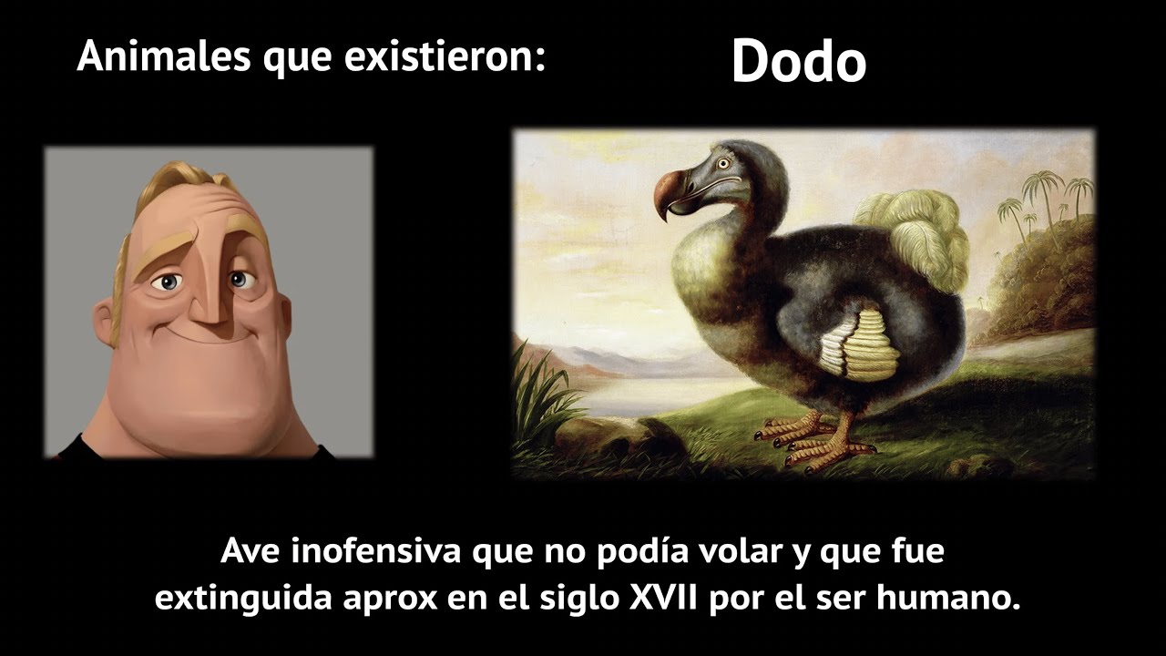 Mr Increíble Perturbado: Animales que existieron