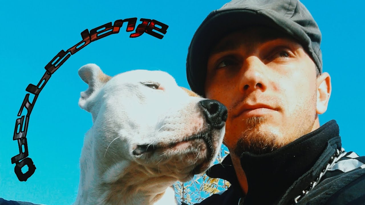 MacMaRoKi - Obezbeđenje (official audio)