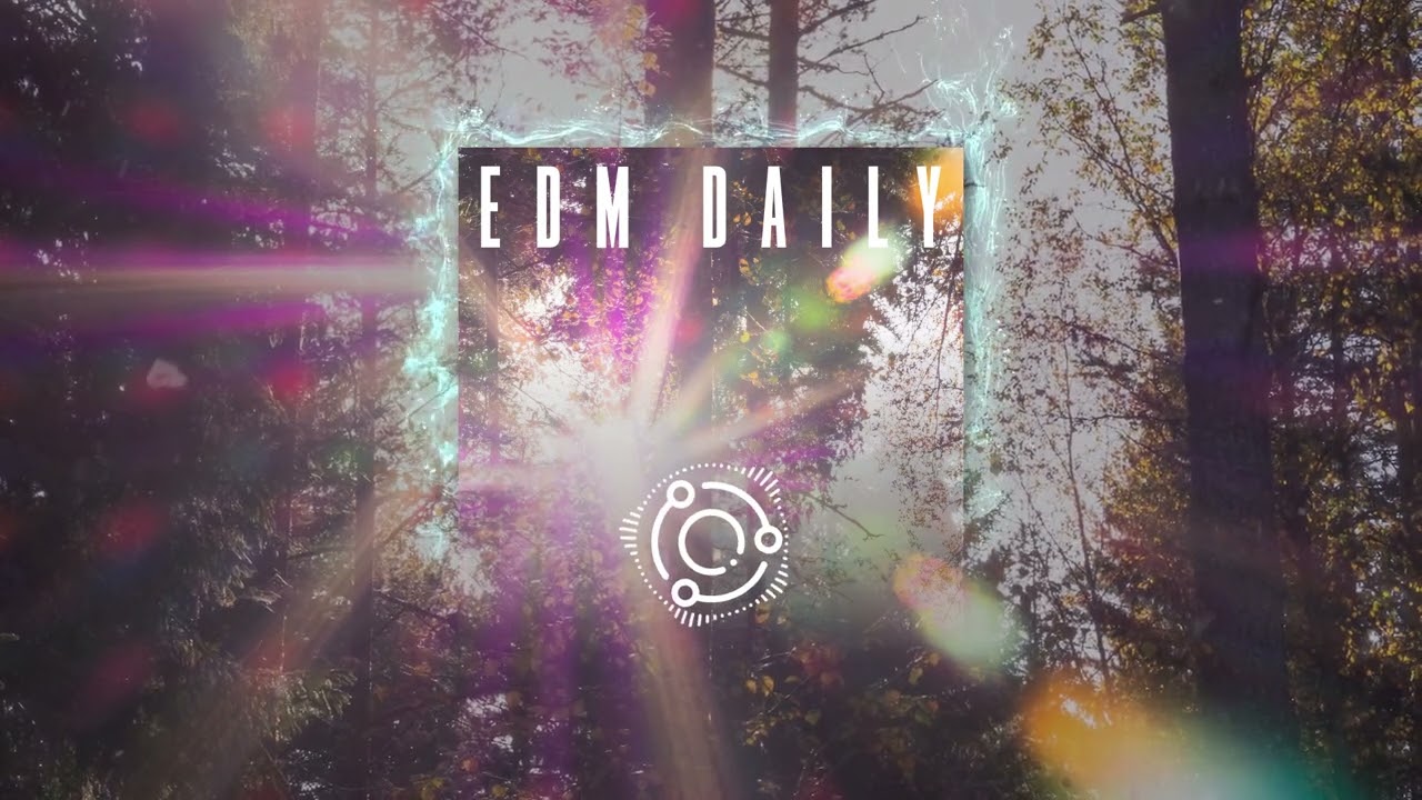 EDM Daily | Vibrant Beats: The Visuals of EDM Music