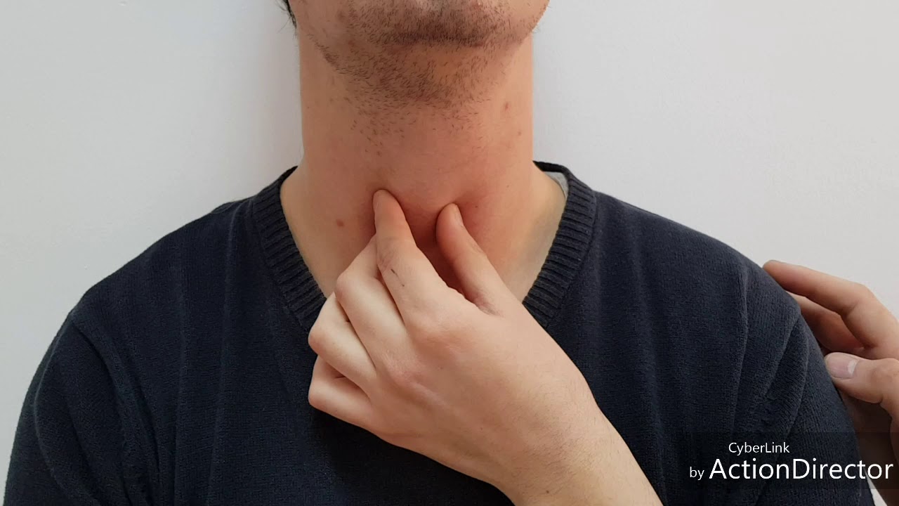 EXAMEN DE LA THYROÏDE