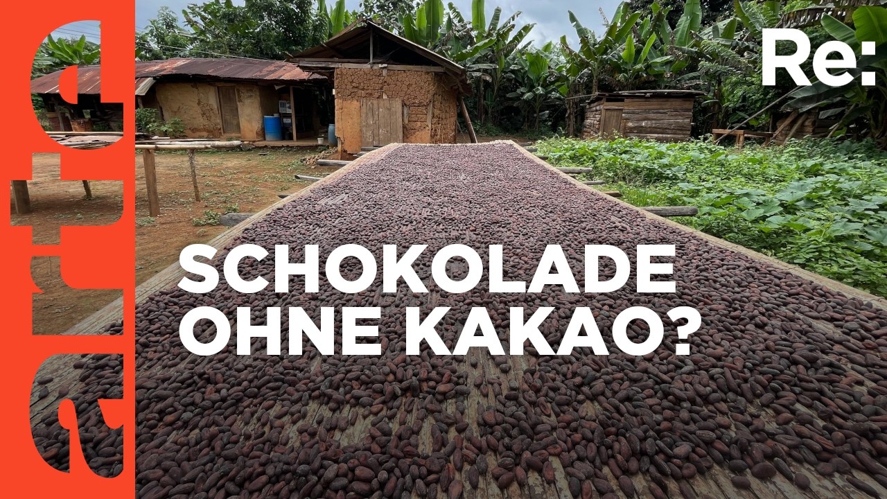 Schokolade, fair und nachhaltig | ARTE Re: