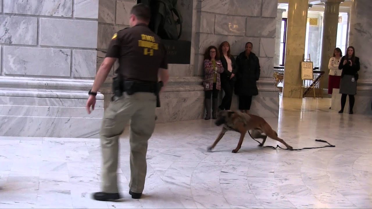 K9 Demo at State Capitol