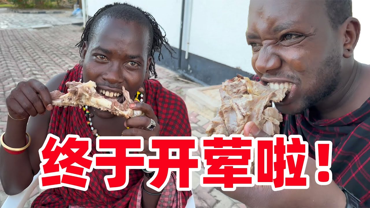 看看保镖给我的见面礼！直接整了一头羊，抱着羊腿就开啃太带劲了