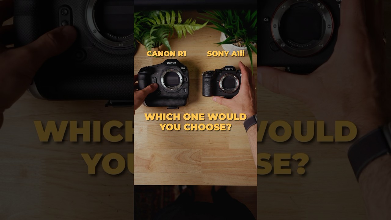 Canon R1 vs Sony A1 &mdash; Which Flagship Would You Pick?