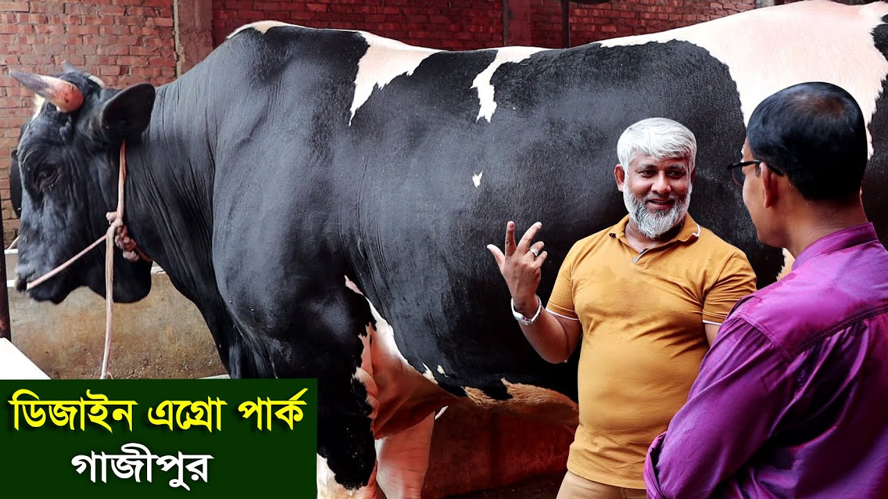 921- ঈদ ধামাকা-২০২৩, প্রস্তুত ডিজাইন এগ্রো পার্ক গাজীপুর-র.ই মানিক চিত্রপুরী Chitrapuri Krishichitra