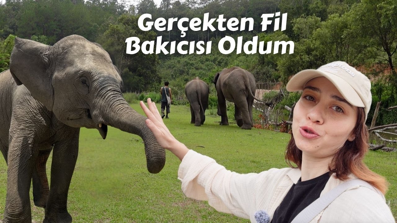 Tayland’ın Bir Köyüne Yerleşip FİL BAKICISI Oldum 🐘