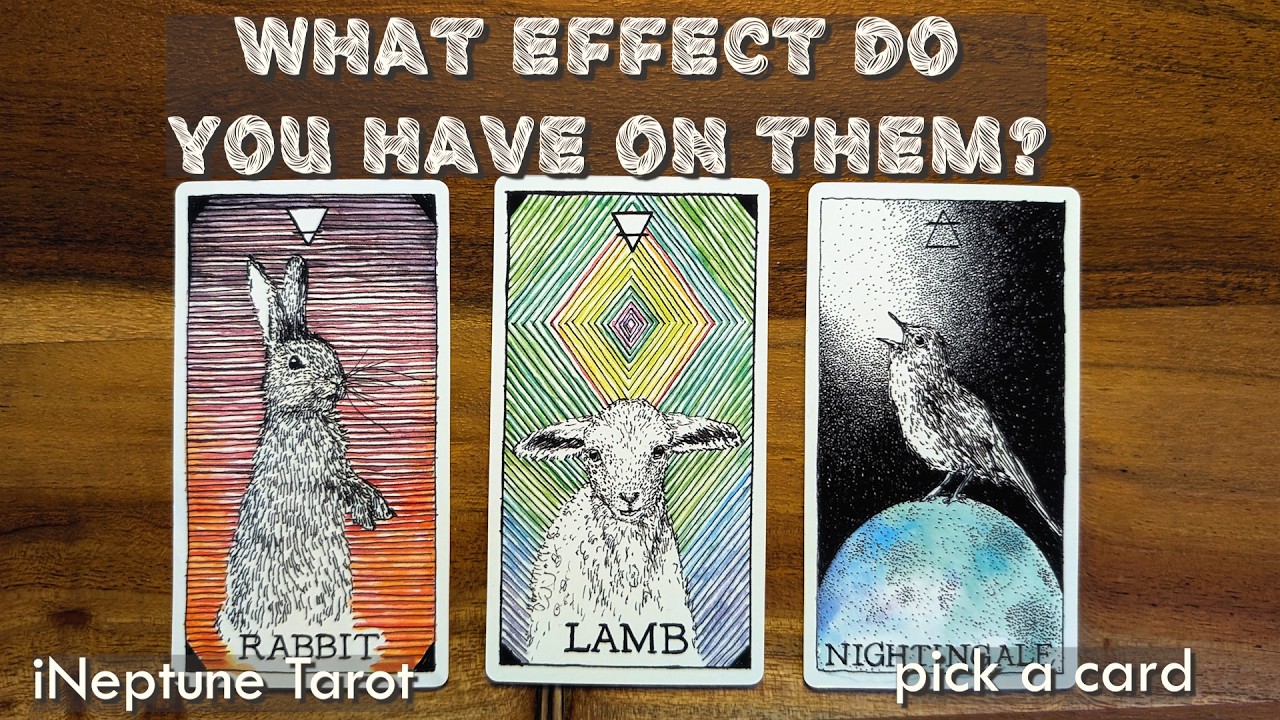 WHAT EFFECT DO YOU HAVE ON THEM? 🌊| Pick a Card Tarot Reading (Timeless)