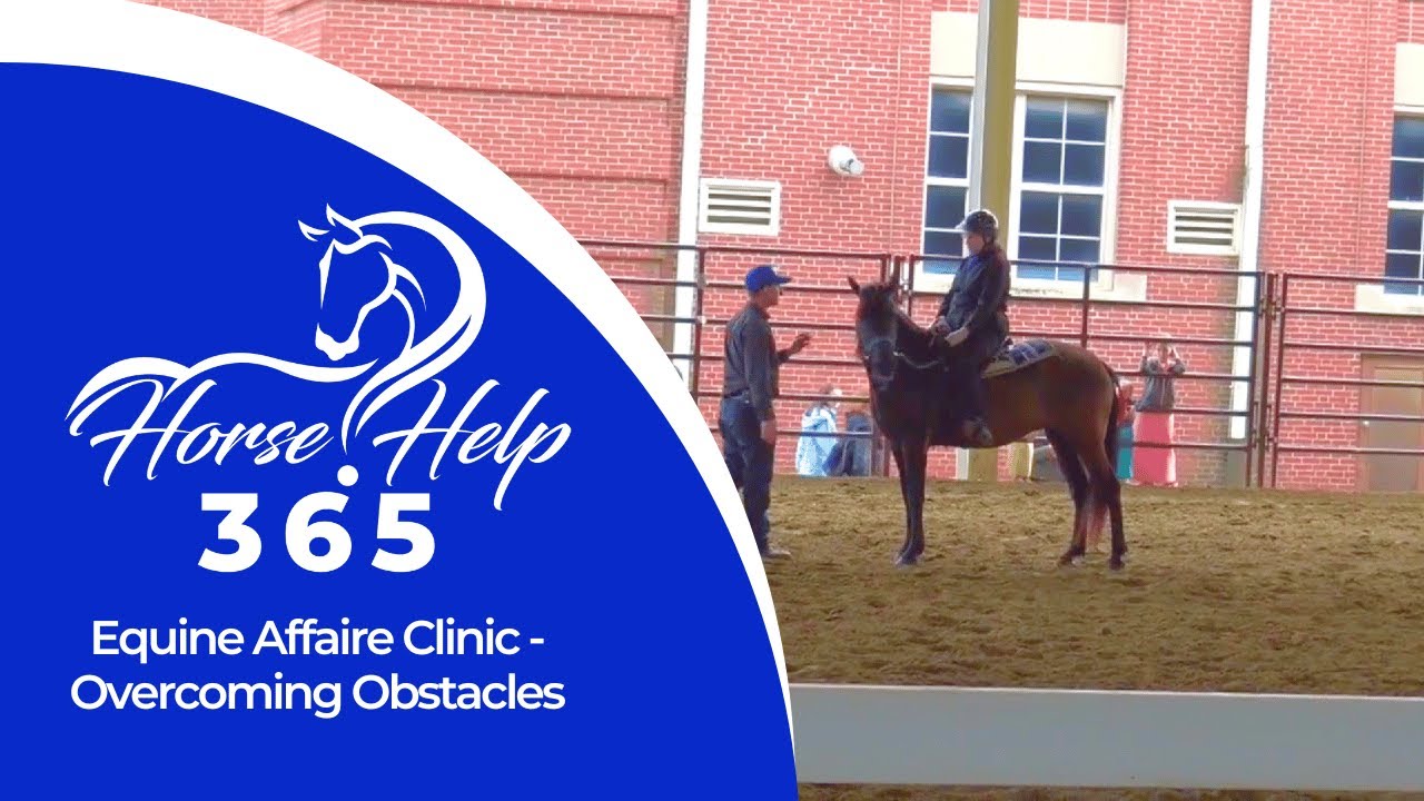 Equine Affaire Clinic - Overcoming Obstacles | Horse Help - Michael Gascon