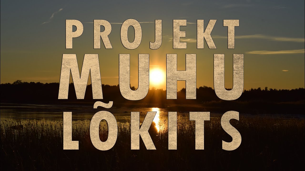 Viies Maailm | Projekt Muhu Lõkits