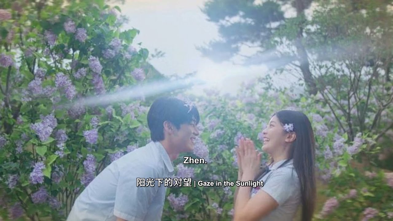 1 Hour of Chinese Sad Songs in the Garden 🌸 | 丁香花下的约定 | The Promise Under the Lilacs
