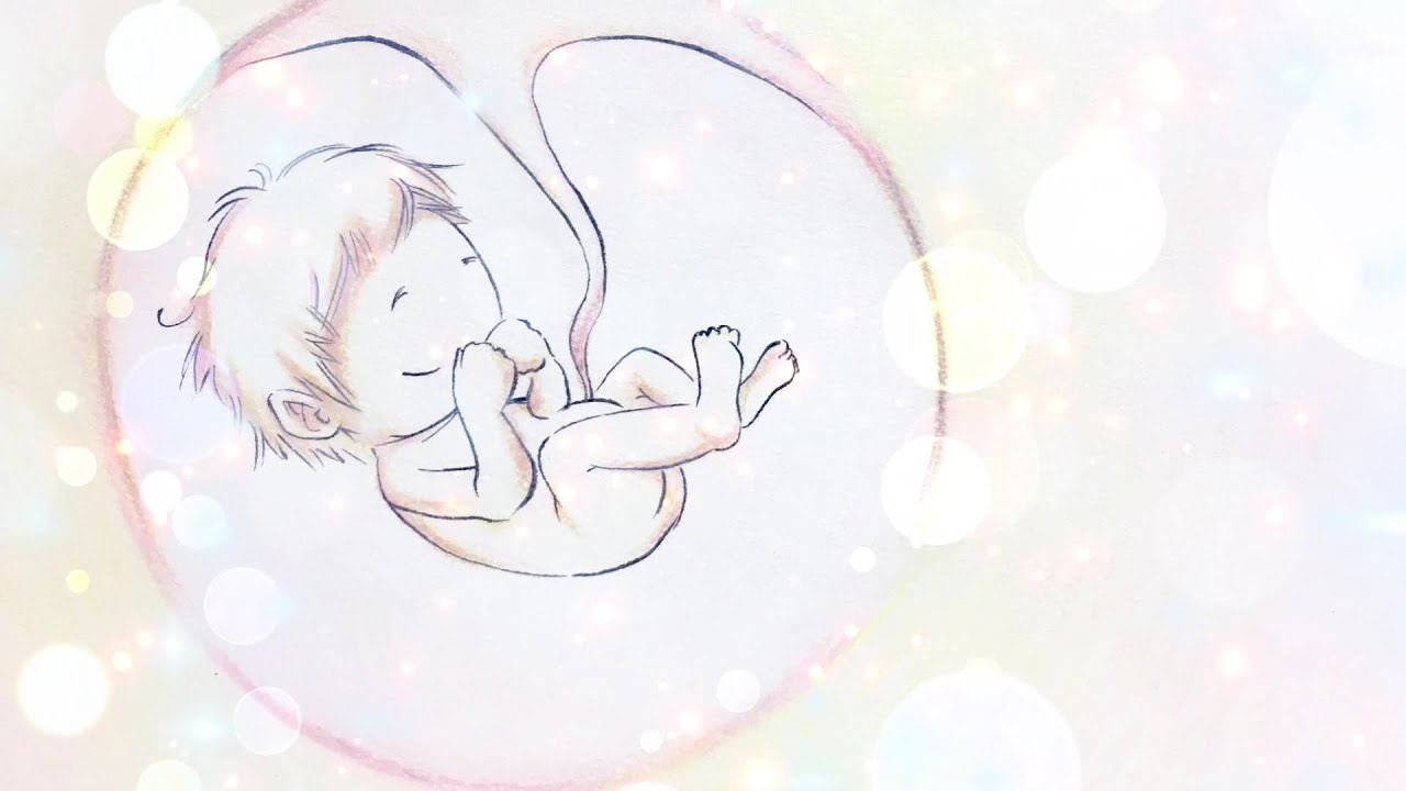 牡羊座の歌『星のかけら』／12-sign