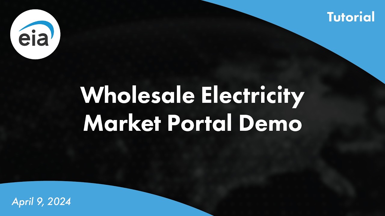 Wholesale Electricity Market Portal Demo