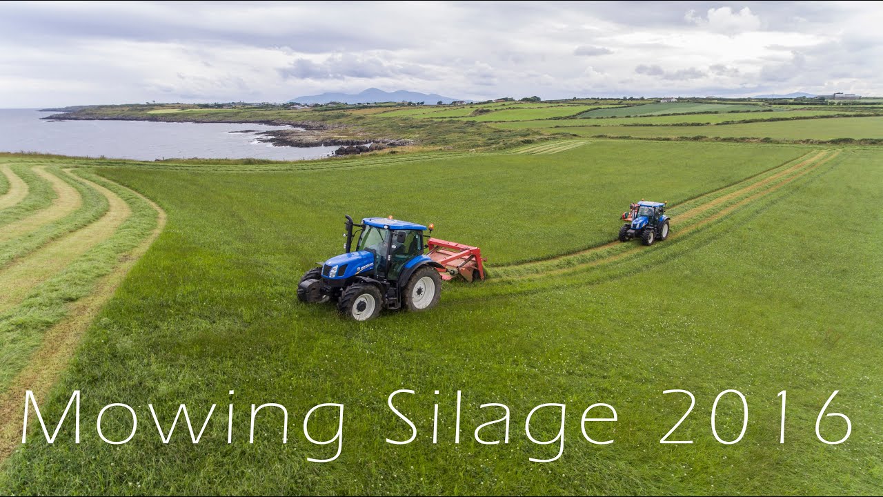 Mowing Silage with a view! - 4K