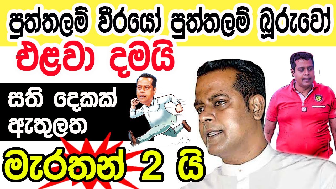 Lesson 459–  තව පොඞ්ඩෙන් දලූව නෙවෙයි 