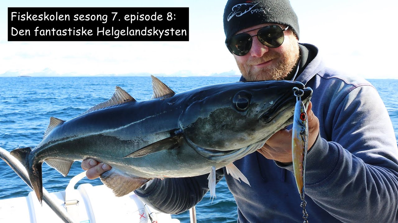 Fiskeskolen sesong 7, episode 8: Den fantastiske Helgelandskysten
