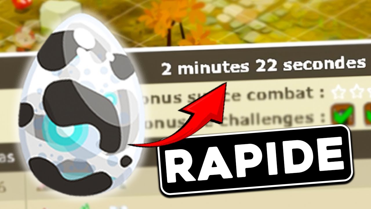 On va le CHERCHER ce deuxième DOFUS (2 minutes contre le Peki) ?!