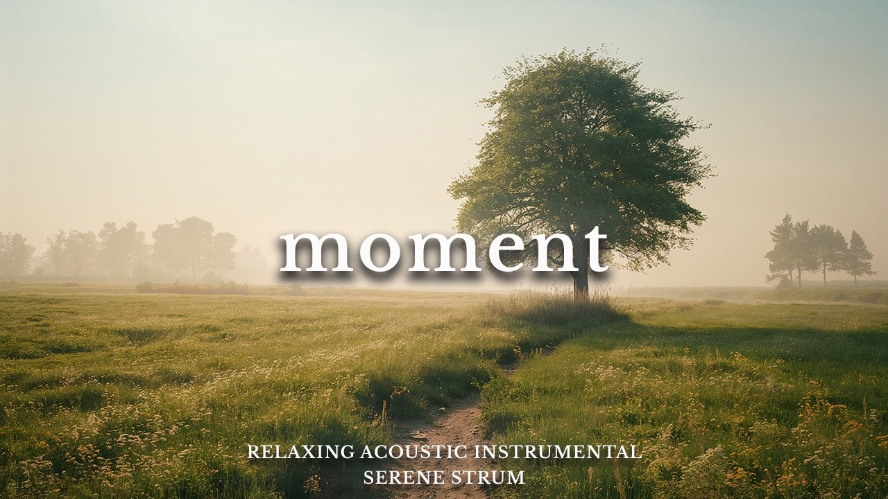 Enjoy the Moment ❤️🍃 Relaxing Guitar & Violin For Study, Stress Relief & Relaxation