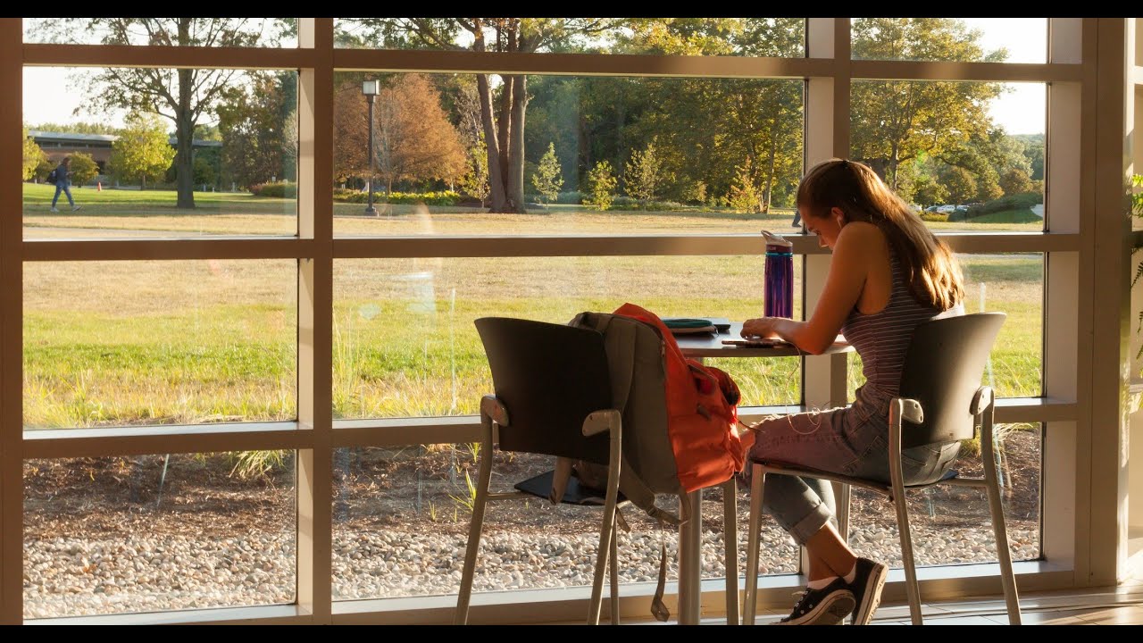 Focus Music for Work and Studying, Background, SoftPad/WarmSynth/ Felt Piano/Low-pass Guitar/E-Piano